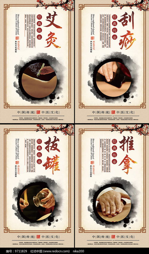 中醫養生智慧 艾灸保健展板設計鑒賞與養生服務指南