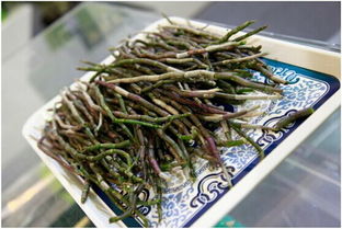 光明九斛堂閃耀上海國際食博會，引領食養健康新服務