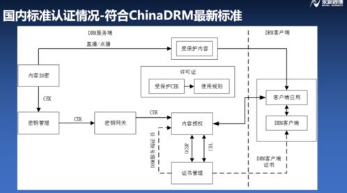 構建符合融媒體安全的版權保護系統——浦江論道永新視博李自東談IPTV行業健康生態軟件開發