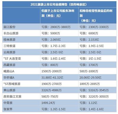 2021年旅游出行“預虧王”深度解讀 挑戰與轉型之路